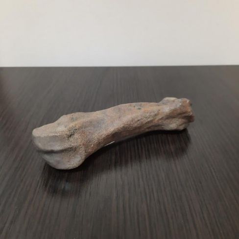 Фрагмент кости ноги  носорога