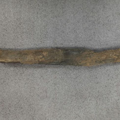 Фрагмент кости мамонта