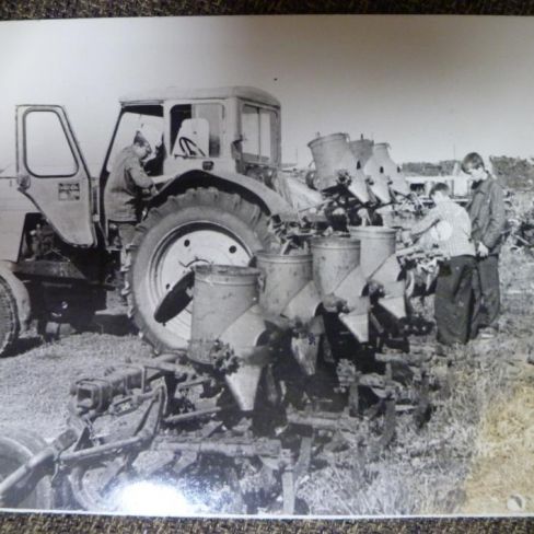 Фотография. Рабочие совхоза им. Ворошилова на фоне трактора