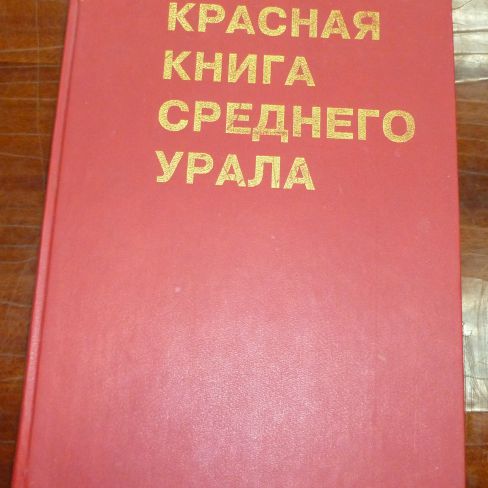 Книга