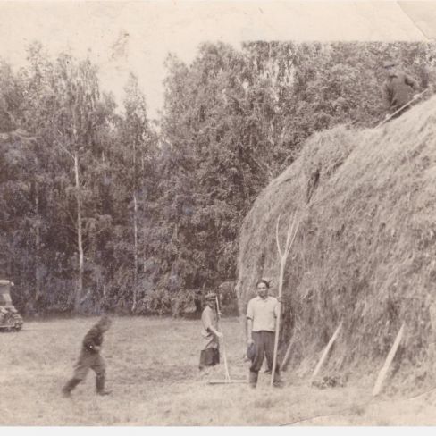 Фотография. Заготовка сена.