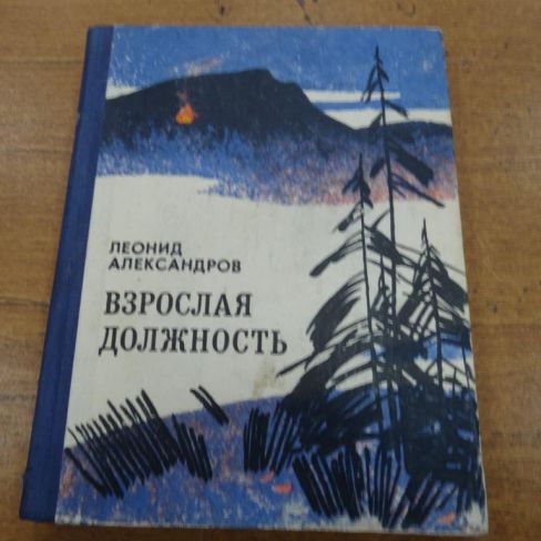 Книга. "Взрослая должность"